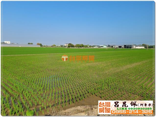 嘉義民雄農地-2