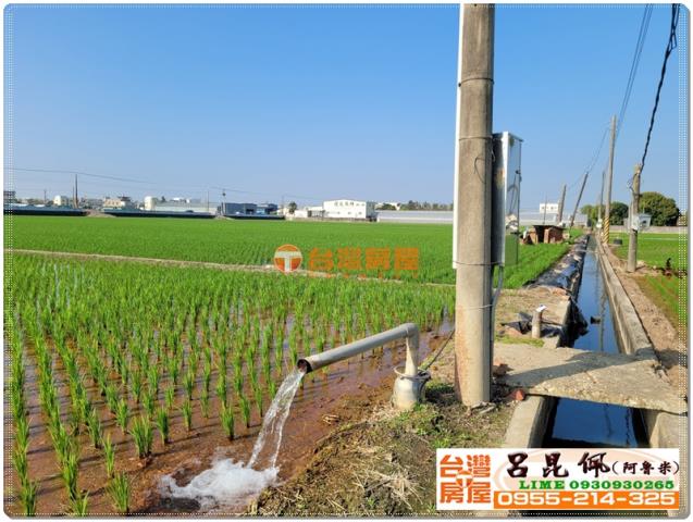 嘉義民雄農地-3