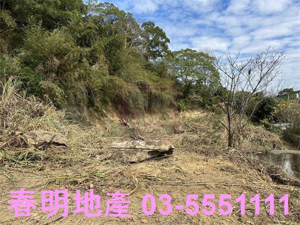 苗栗頭份建地-14