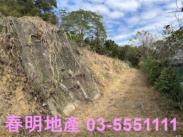 苗栗頭份建地-4