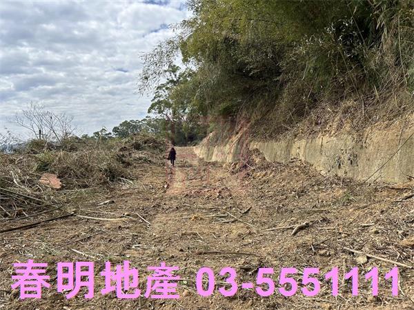 苗栗頭份建地-9