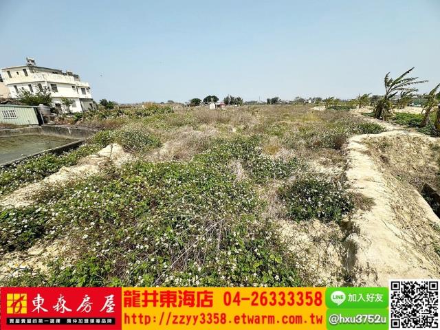 清水農地-4