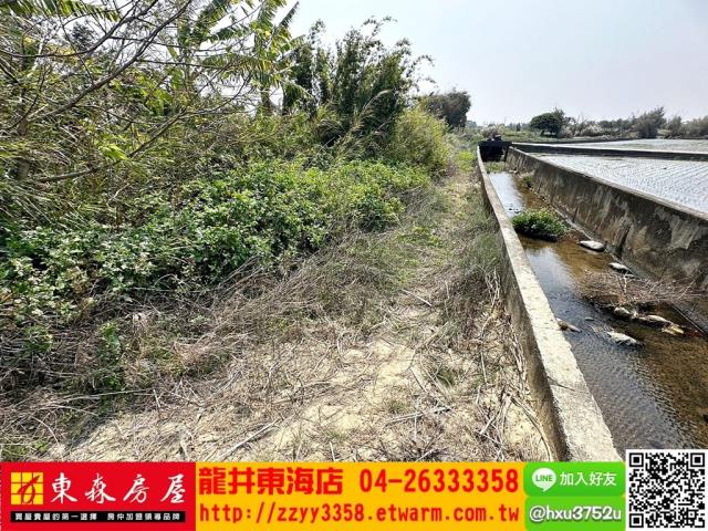 清水農地-7