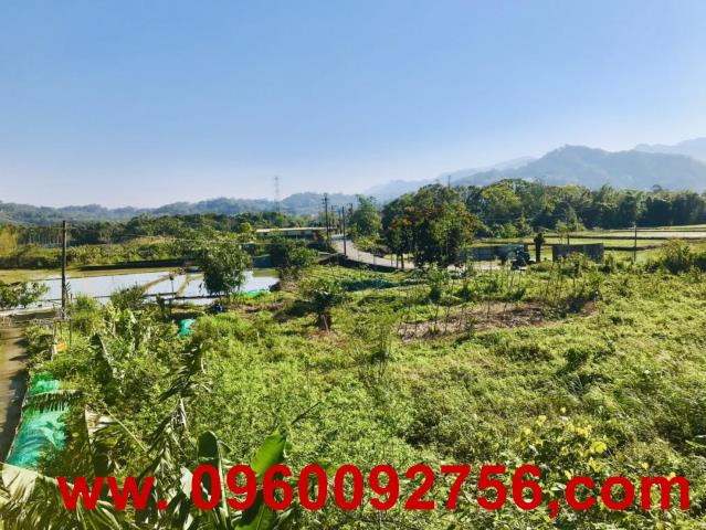 橫山農地-6