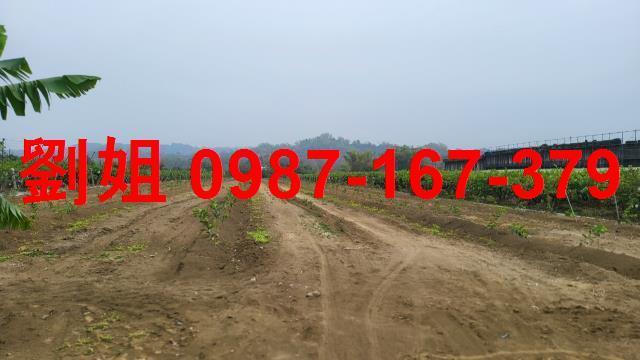 高雄燕巢農地-1