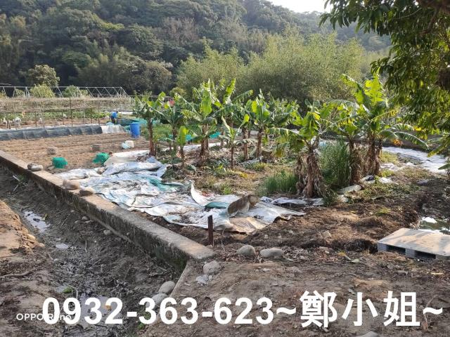 桃園蘆竹農地-5
