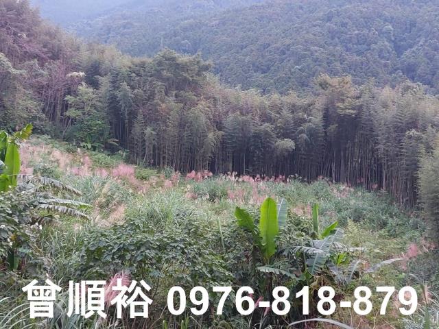 五峰農地-4