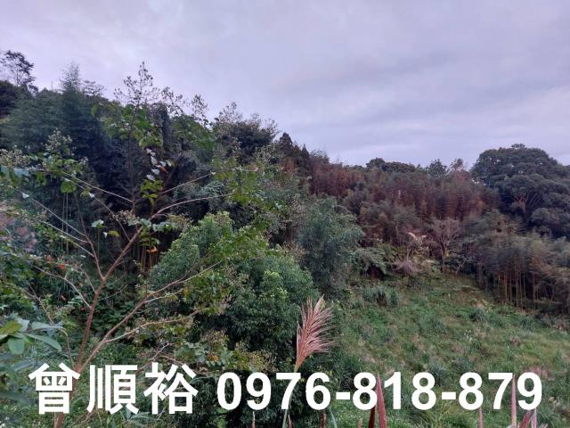 五峰農地-7