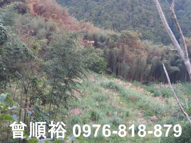 五峰農地-8
