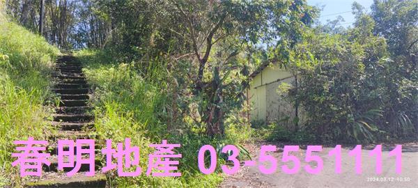 橫山農地-3
