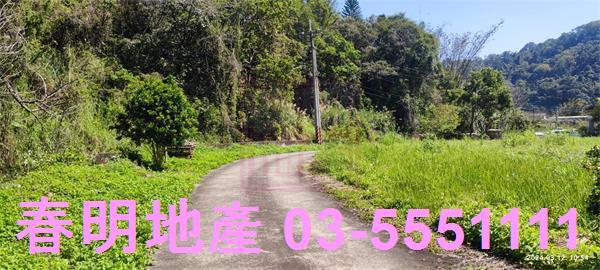 橫山農地-6