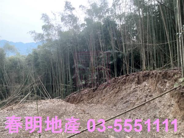 橫山農地-1