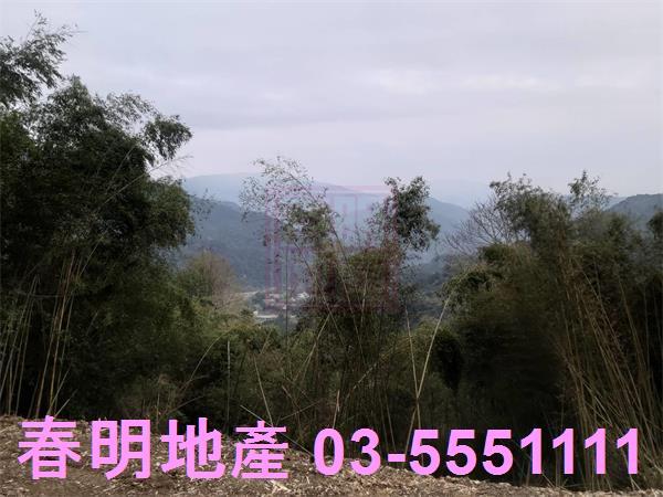 橫山農地-2