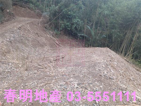 橫山農地-3