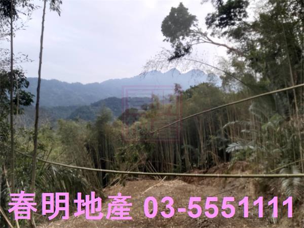 橫山農地-4