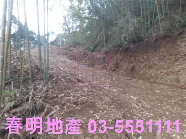 橫山農地-5