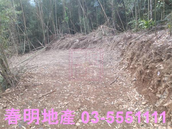 橫山農地-9