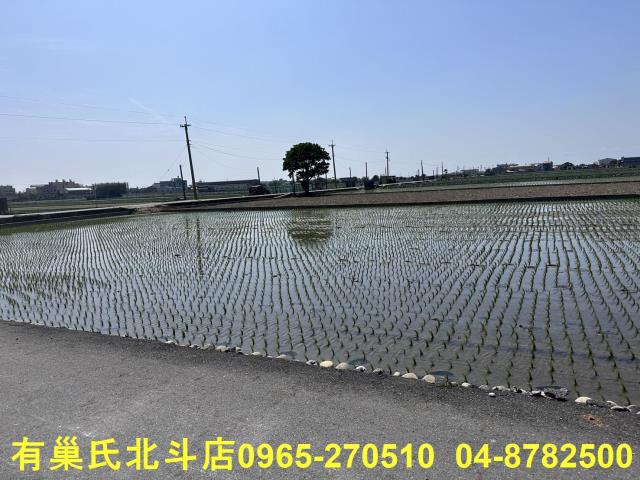 埔鹽農地-1