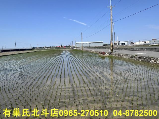 埔鹽農地-2