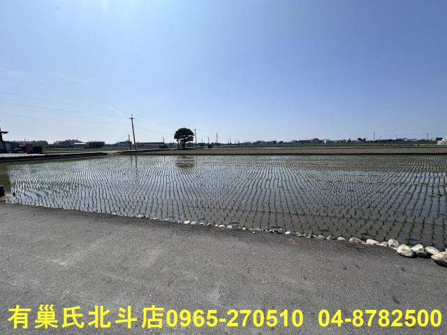 埔鹽農地-3
