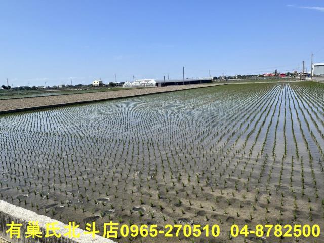 埔鹽農地-4