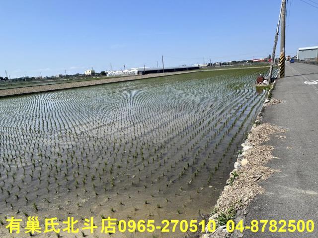 埔鹽農地-6