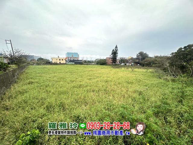 觀音農地-1