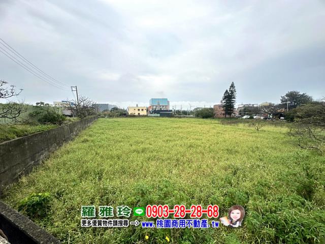 觀音農地-2