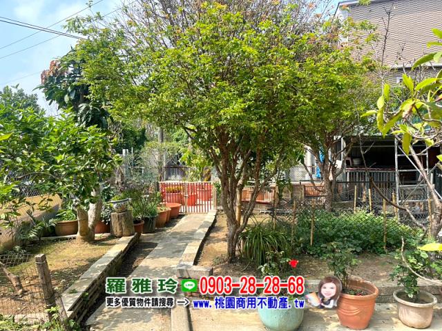 桃園農地-1