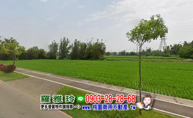 桃園建地-6