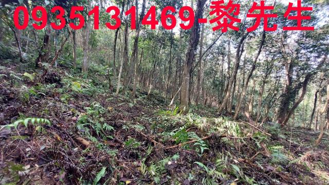 三灣農地-11