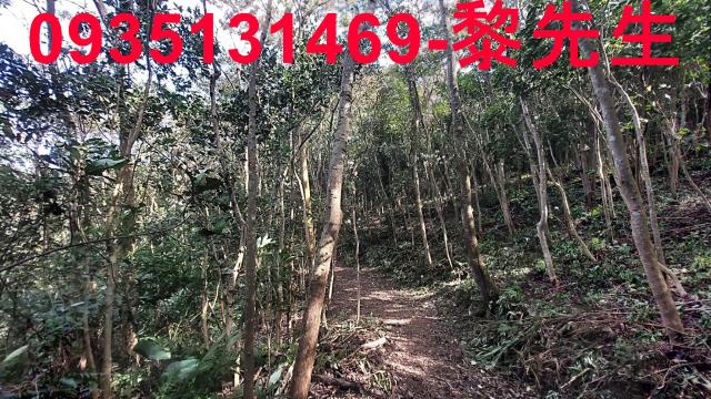 三灣農地-9