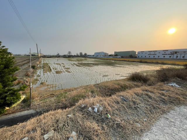 彰化埔鹽農地-3