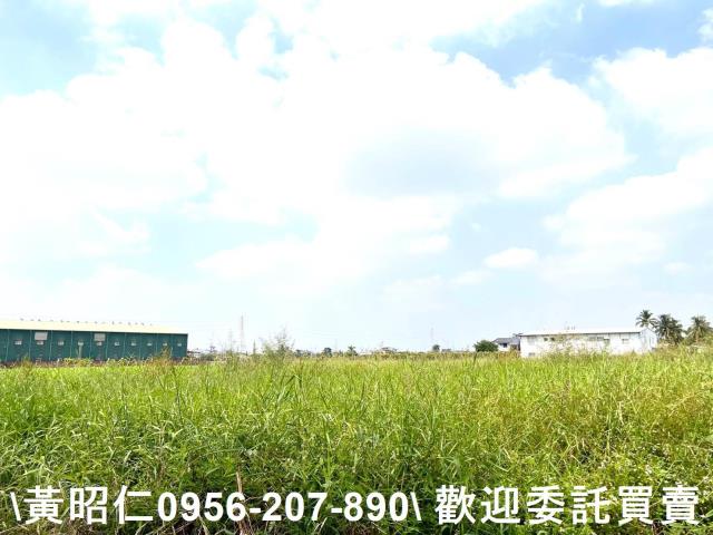 台南新化農地-1