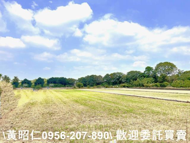 台南新化農地-6