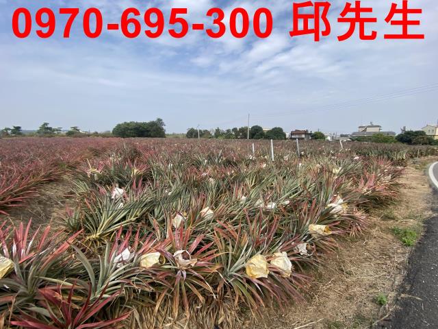高雄農地-1