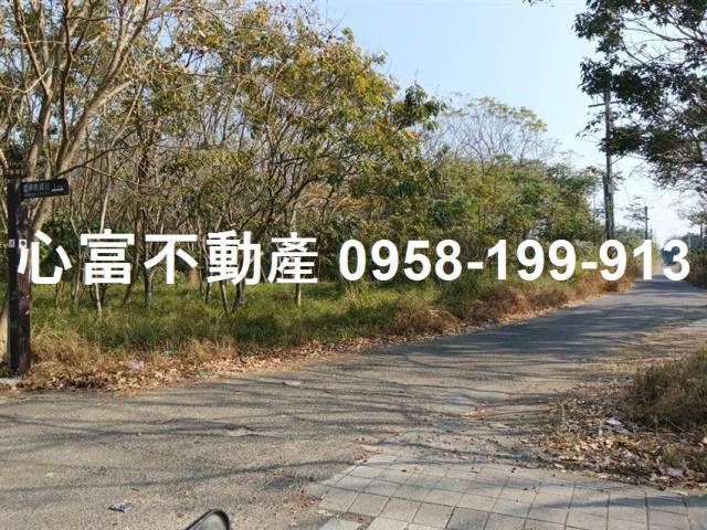歸仁農地-2