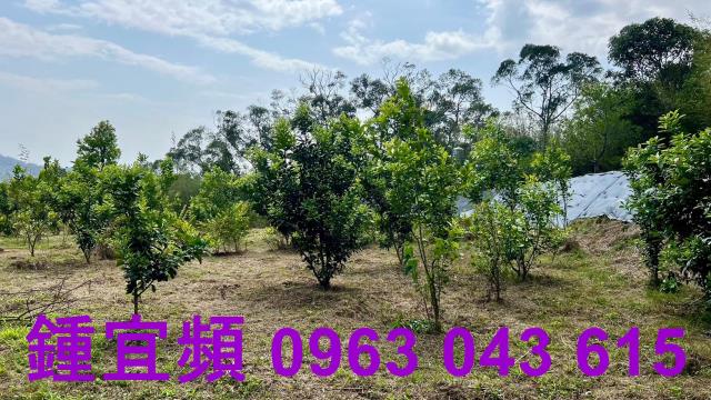 新竹農地-12