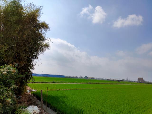 彰化二林農地-11