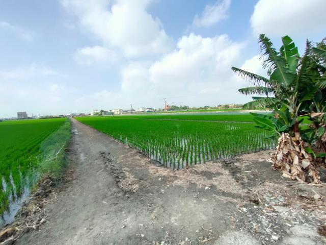 彰化二林農地-1