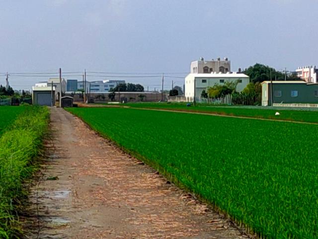 彰化二林農地-8