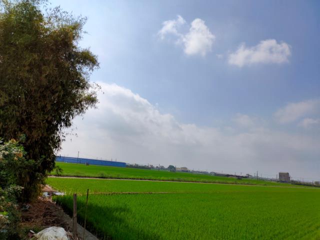 彰化二林農地-10