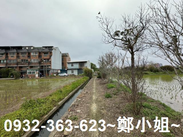 平鎮農地-9