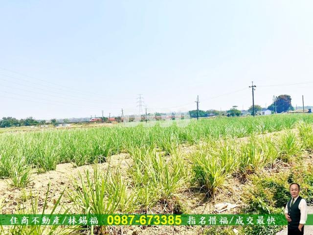 湖內農地-2