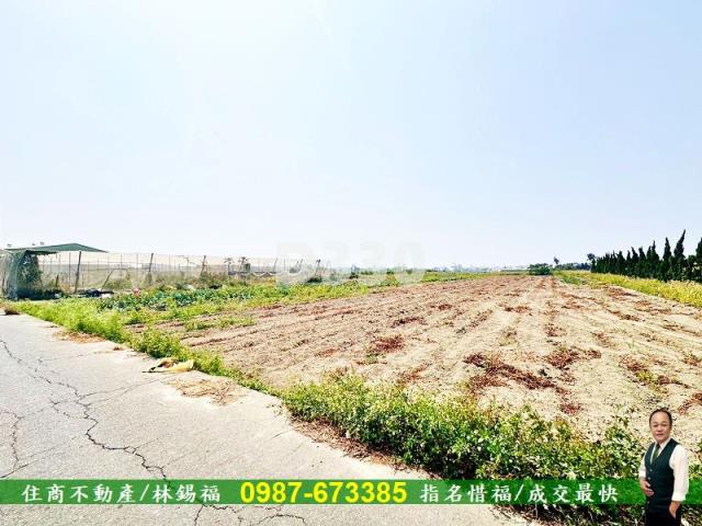 湖內農地-3