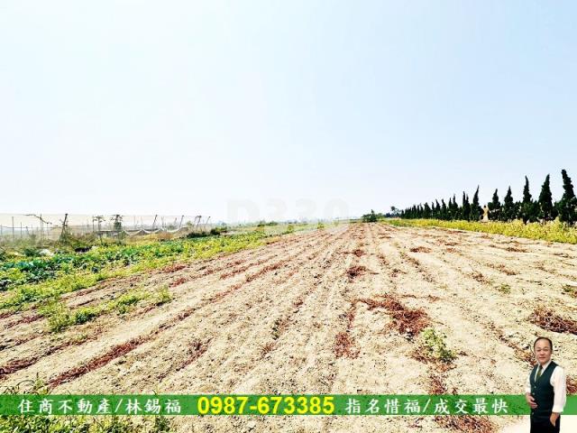 湖內農地-4