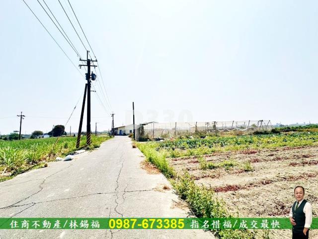 湖內農地-5
