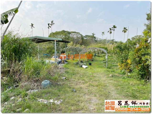竹崎農地-4