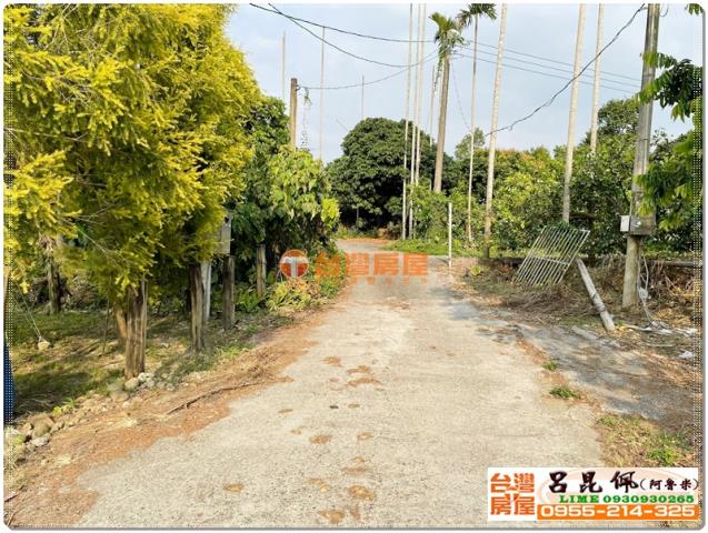 竹崎農地-8