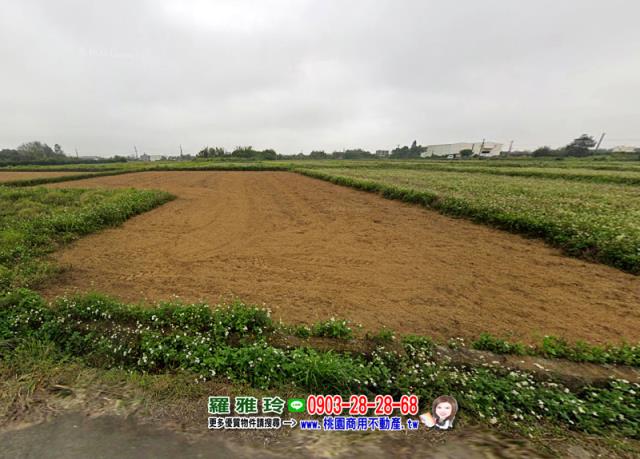 桃園觀音農地-2